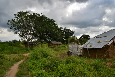 DSC_4846 (Large).JPG